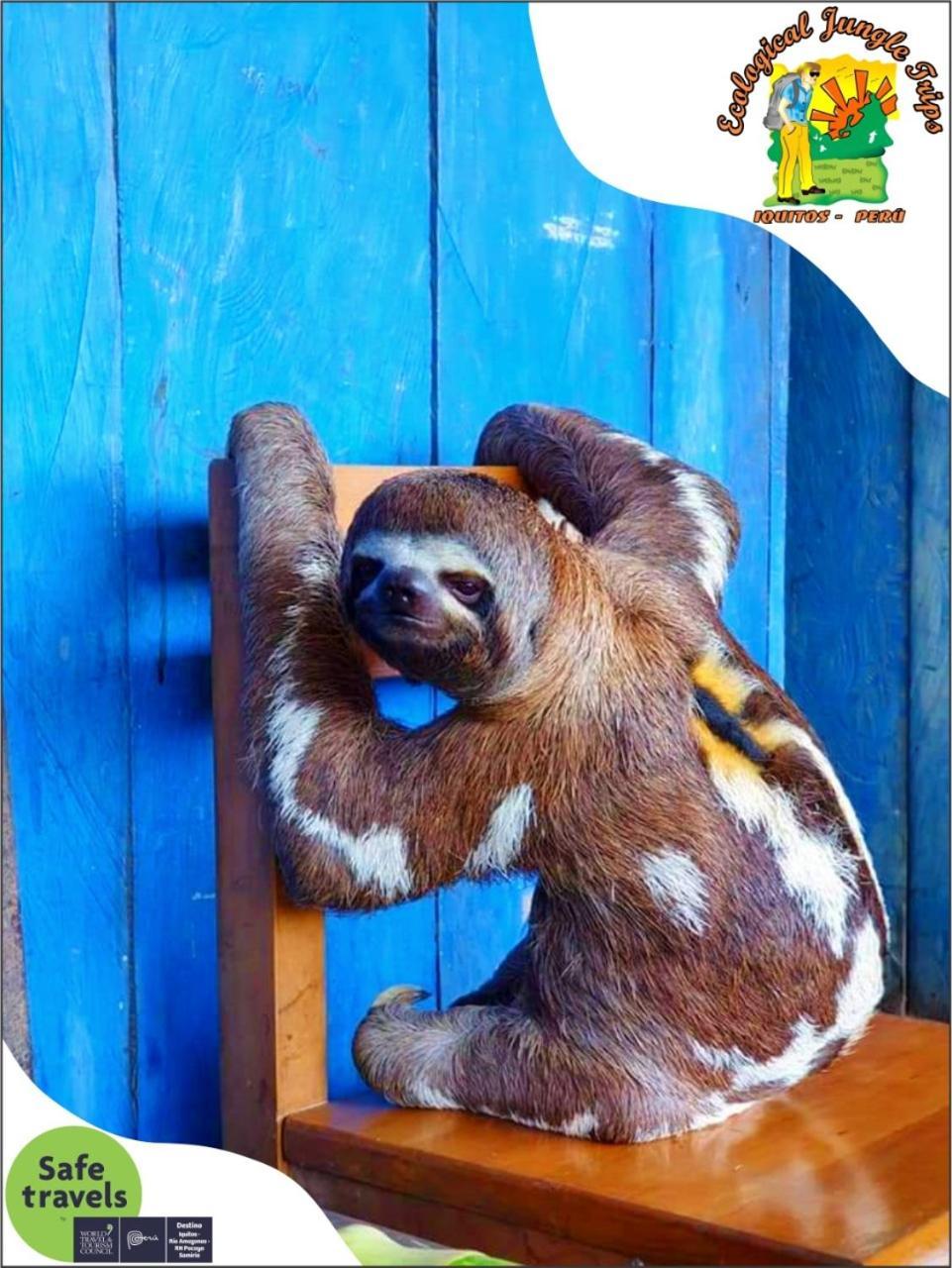Bed and Breakfast A&T Amazon Backpacker'S Ікітос Екстер'єр фото